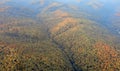 Autumn forest colorful trees and leafs aerial view