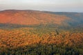 Autumn forest colorful trees and leafs aerial view