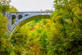 Autumn forest colors with old rocky train bridge in natural park of Vintgar