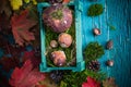 Autumn forest composition mushrooms basket