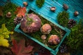 Autumn forest composition mushrooms basket