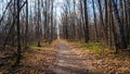 Autumn forest with country road. Colorful landscape with trees, rural road, orange and red leaves, sun in fall. Autumn Royalty Free Stock Photo