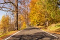 Autumn forest with country road at sunset. Colorful landscape with trees, rural road, orange and red leaves, sun in fall. Travel. Royalty Free Stock Photo