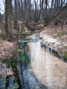 Autumn forest creek Royalty Free Stock Photo