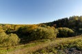 Autumn forest day. Wid from a height. Beautiful nature Royalty Free Stock Photo