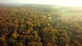 Autumn forest drone aerial shot, Overhead view of foliage trees Royalty Free Stock Photo