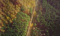 Autumn forest drone aerial shot, Overhead view of foliage trees. Royalty Free Stock Photo