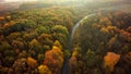 Autumn forest drone aerial shot, Overhead view of foliage trees