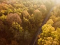 Autumn forest drone aerial shot, Overhead view of foliage trees and road Royalty Free Stock Photo