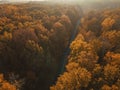 Autumn forest drone aerial shot, Overhead view of foliage trees Royalty Free Stock Photo