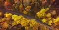 Autumn forest drone aerial shot, Overhead view of foliage trees and road Royalty Free Stock Photo