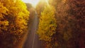 Autumn forest drone aerial shot, Overhead view of foliage trees and road Royalty Free Stock Photo