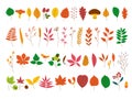Autumn forest elements. Decorative maple oak foliage. Fall birch tree leaf, colorful leaves branches mushroom and berry Royalty Free Stock Photo