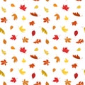 Autumn forest falling leaves. Fall season specific vector background Royalty Free Stock Photo