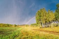 The autumn forest and fields are lit by the sun after the rain, and the sky is covered with clouds and a rainbow Royalty Free Stock Photo