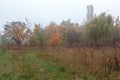 Autumn forest. Fog. Rain. Dampness. Landscape. Path Royalty Free Stock Photo