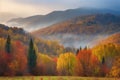 autumn forest with foggy morning light, view of the mountain range in the background Royalty Free Stock Photo