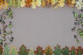 Autumn forest frame Royalty Free Stock Photo