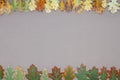 Autumn forest frame Royalty Free Stock Photo