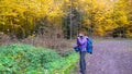 Autumn in the forest. A girl is photographing a beautiful forest. Royalty Free Stock Photo