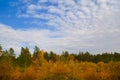 autumn forest glade under a blue cloudy sky Royalty Free Stock Photo