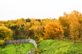 Autumn forest and green grass in Gorokhovets