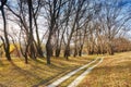 Autumn forest and ground road near river, beautiful landscape Royalty Free Stock Photo