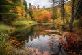 autumn forest hike with colorful foliage and peaceful pond