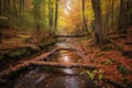 autumn forest hike with vibrant foliage and a trickling stream Royalty Free Stock Photo