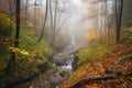 autumn forest hike with view of cascading waterfall and misty stream Royalty Free Stock Photo