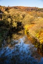 Autumn forest is intersected by a blue river