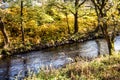 Autumn forest is intersected by a blue river