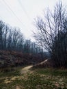 Autumn forest in Kharkiv. Narrow path. Royalty Free Stock Photo