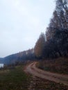 Autumn forest in Kharkiv. Narrow path. Royalty Free Stock Photo