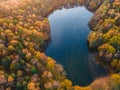 Autumn forest with lake aerial drone view. Trees with colorful orange, red, yellow and green leaves Royalty Free Stock Photo