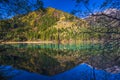 Autumn forest & Lake landscape in Jiuzhaigou Royalty Free Stock Photo