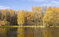 Autumn forest and lake