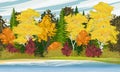 Autumn forest by the lake. Mixed forest with spruce, birch, aspen, oak and other types of trees with bright autumn leaves Royalty Free Stock Photo