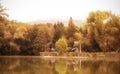 Autumn forest, lake reflection in the nature