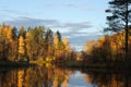 Autumn on the forest lake