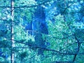 Autumn forest on the lake Talkov stone. Talkov Stone is a beautiful lake located in the spurs of chernivsky Uval. Indian summer. Royalty Free Stock Photo