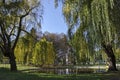 Autumn forest with lake, weeping willow and reflections, South Park Royalty Free Stock Photo