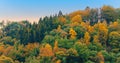Autumn forest landscape in the Ardennes. Royalty Free Stock Photo
