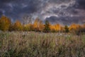 Autumn forest landscape in fall coloring against the backdrop of a dramatic cloudy sky Royalty Free Stock Photo