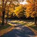 Autumn forest landscape. Gold color tree, red orange foliage in fall park. Nature change scene. Yellow wood in scenic Royalty Free Stock Photo