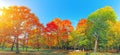 Autumn forest landscape. Gold color tree, red orange foliage in fall park. Nature change scene. Yellow wood in scenic sc Royalty Free Stock Photo