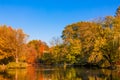 Autumn forest landscape. Golden autumn scenery. Autumn. Fall. A