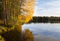 Autumn forest landscape golden leaves of trees on the lake coast Royalty Free Stock Photo