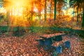 Autumn forest landscape with lonely picnic place at fall sunset