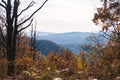 Autumn forest landscape with mountains on the horizon in orange colors in the fall.